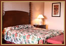Gold Strike Standard Room